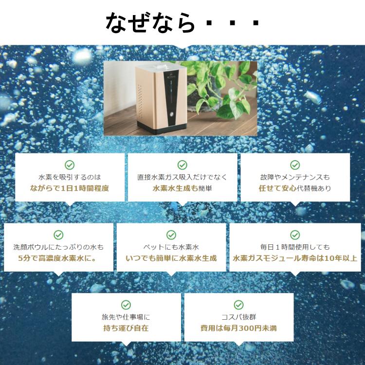 水素ガス生成器 水素吸入器 高濃度水素ガス生成吸入器 毎分約 水素ガス生成器 水素吸入器 高濃度水素ガス生成吸入器 毎分約