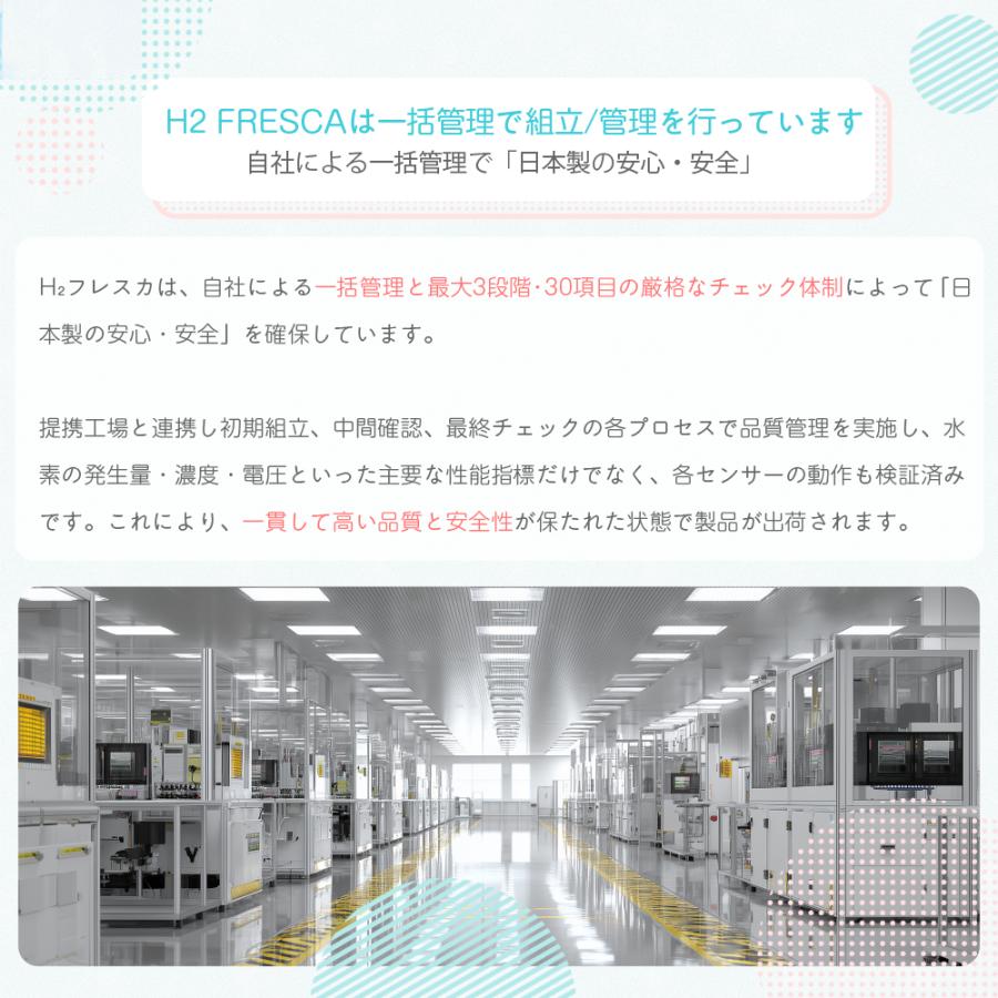水素吸入器 毎分300ml 高濃度水素生成吸入器 水素吸入 酸素同時吸入毎分150ml H2G300 フレスカ 1年保証付き  水素ガス吸引器の画像