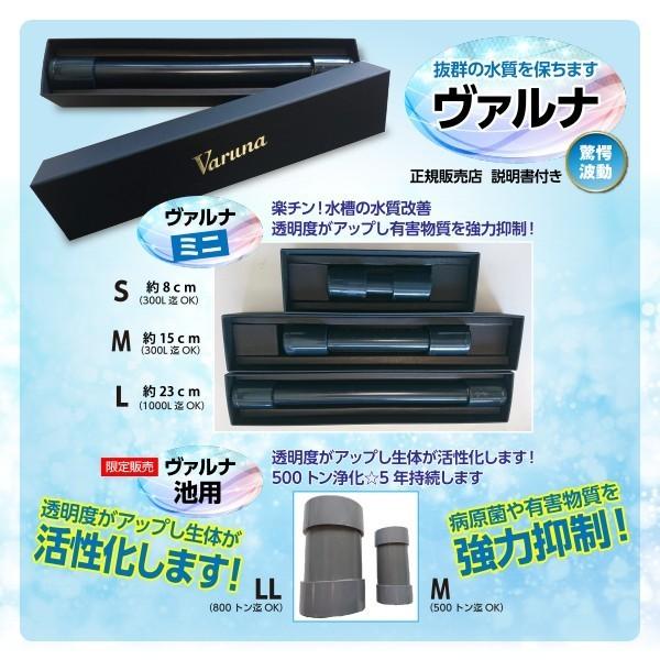 池の水質が抜群に【ヴァルナ池用】500トン浄化！病原菌や感染症