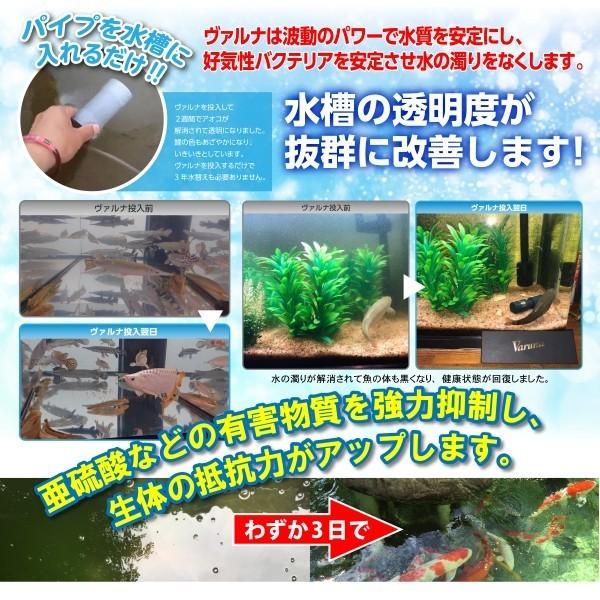 特大ヴァルナ☆池500トン浄化！病原菌や感染症を強力抑制