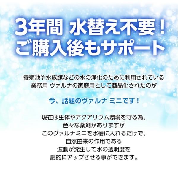 ヴァルナミニ 水槽浄化 アクアリウム 熱帯魚 アロワナ らんちゅう 家庭用 3年間水替えなし 手間なし入れるだけ Lサイズ 23cm つよしくん バルナ