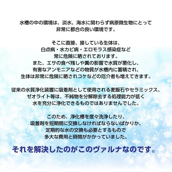 ヴァルナミニ 水槽浄化 アクアリウム 熱帯魚 アロワナ らんちゅう 家庭