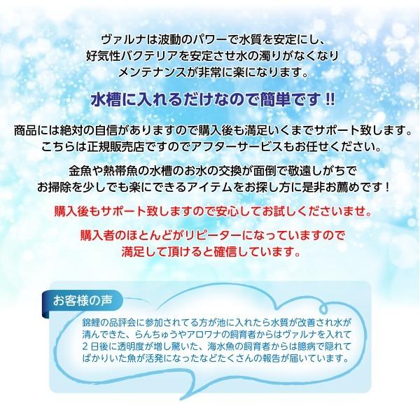 ヴァルナミニ 水槽浄化 アクアリウム 熱帯魚 アロワナ らんちゅう 家庭用 3年間水替えなし 手間なし入れるだけ Lサイズ 23cm つよしくん バルナ Varuna Mini L 匠コンシェルジュyahoo 店 通販 Yahoo ショッピング