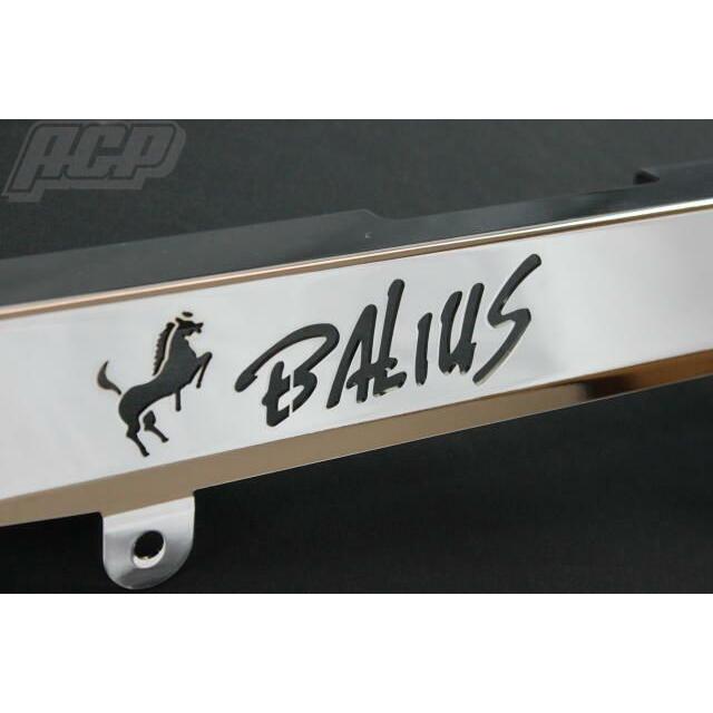 バリオス1型用 ロゴイリ メッキチェーンケース : エーシーピー二輪