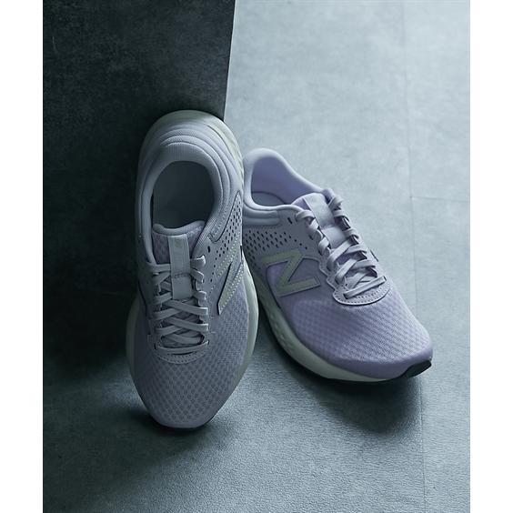 イーバランス スロージューサーE-BALANCE EB-RM0210 イーバランス スロージューサーE-BALANCE EB-RM0210 イー
