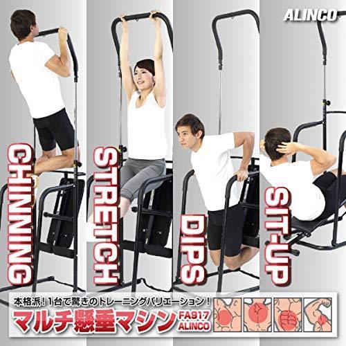 アルインコ 懸垂マシン ex900t ぶら下がり健康機