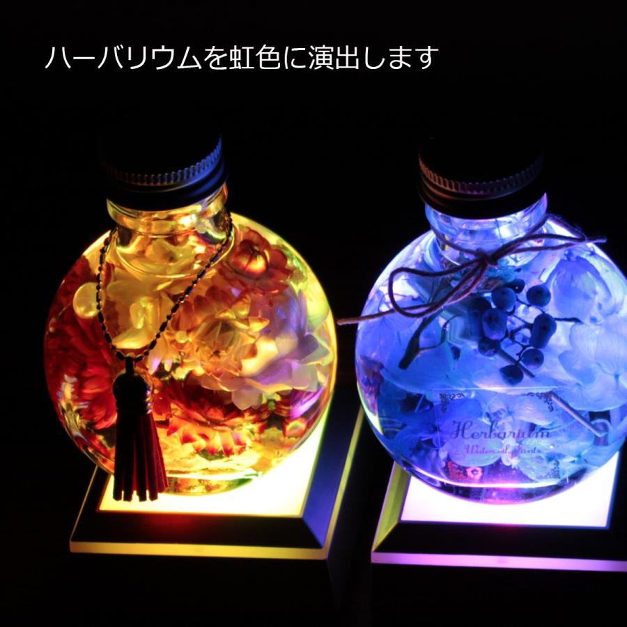 2個セット ハーバリウム ライト LED スタンド コースター レインボー