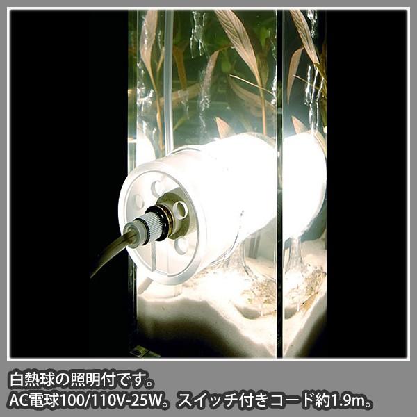 送料無料 水槽 おしゃれ アクアリウム 照明付 インテリア アクリル デザイナー プライベートアクアリウム ワイド 無料長期保証 Aleefsurgical Com