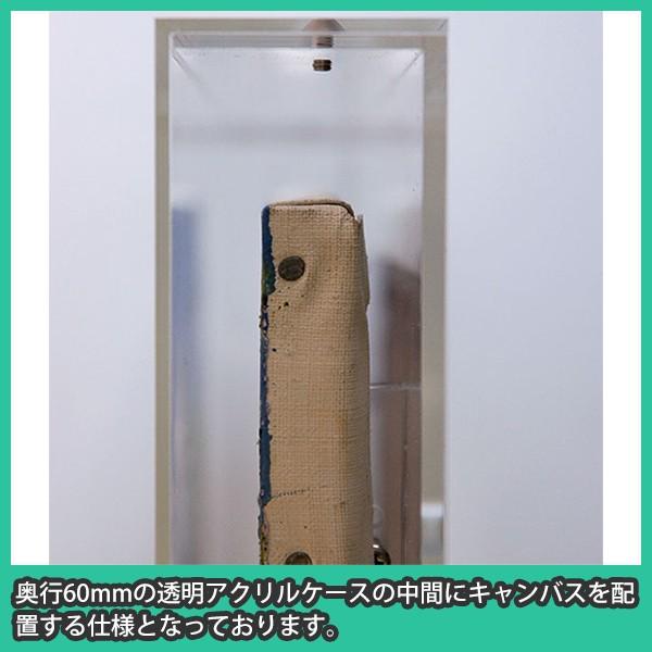 油彩キャンバス F3 額縁 壁掛け ケース ボックス 箱型 奥行 絵画 油彩キャンバス F3 額縁 壁掛け ケース ボックス 箱型 奥行 絵画