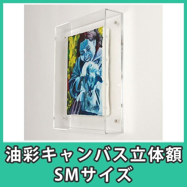 油彩キャンバス SM 額縁 壁掛け ケース ボックス 箱型 奥行 絵画 油絵