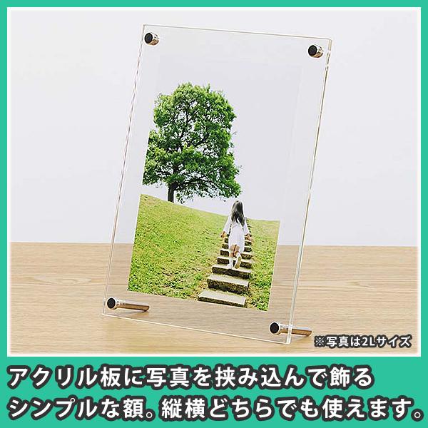 お得セット 写真立て B5 スタンダード おしゃれ フォトフレーム アクリル B5サイズ スタンド専用 Uvカットクリアー Whitesforracialequity Org