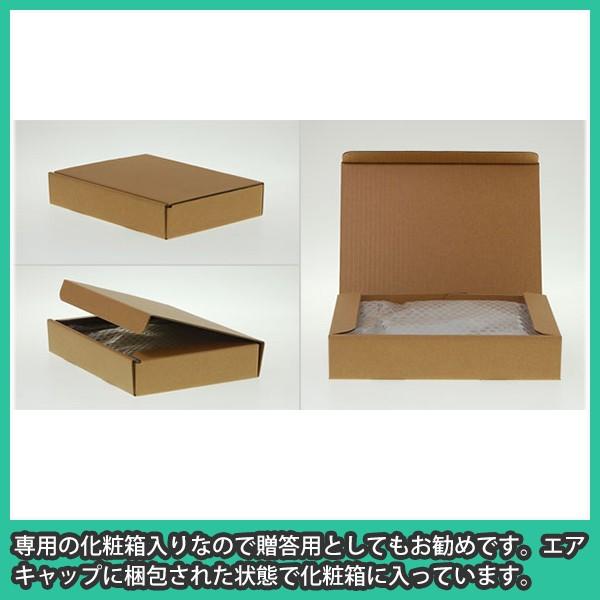 写真立て A5 2l ソリッド おしゃれ 卓上 フォトフレーム マグネットタイプ アクリル フォトフレーム ソリッドタイプ A5 写真2lサイズ Ofs A5 アクリ屋ドットコムyahoo 店 通販 Yahoo ショッピング