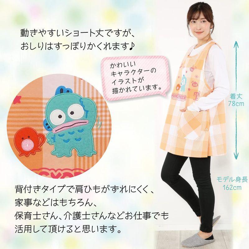 sanrio ハンギョドン エプロン 保育士 ラン型 サイドボタン sanrio ハンギョドン エプロン 保育士 ラン型 サイドボタン