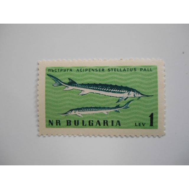 ブルガリア 切手 1961 黒海 動物 1292-2｜act5kokiche｜06