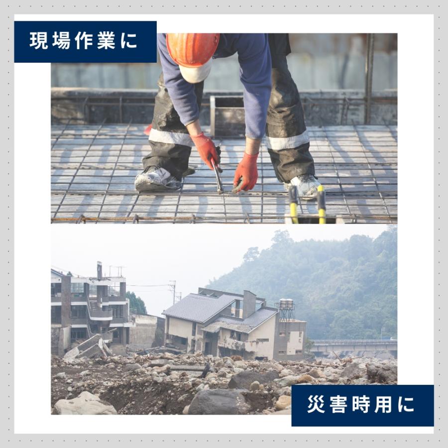 インソール ステンレス 鋼板 地震 災害 防災 安全靴 作業靴 中敷 長靴 踏み抜き 対策 防災グッズ 抗菌加工 鋼板入りインソール 防災リュック ポイント利用 | 木原産業 | 02