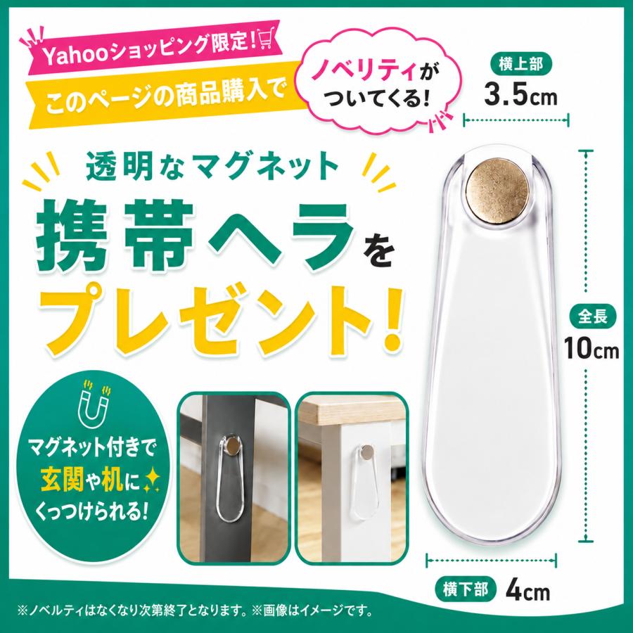 COLLONIL（コロニル） シューケアセット 靴磨きセット Woodfield