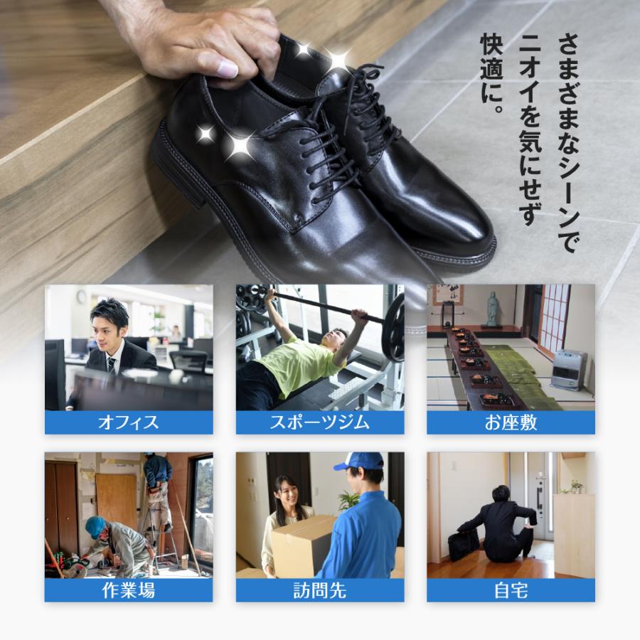 インソール 消臭 悪臭 臭い 蒸れ 足ムレ 対策 メンズ 中敷き 薄い ビジネス 革靴 サイズ別 悪臭防衛隊 フリーサイズ 大きめ ポイント利用 | 木原産業 | 11