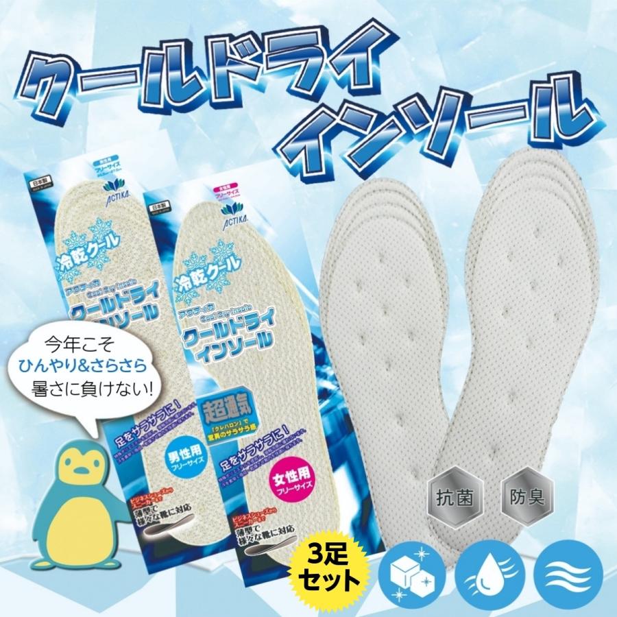 インソール 3足 セット 中敷き 接触冷感 蒸れ 足ムレ 対策 薄い 臭い対策 冷却 グッズ スニーカー クールドライ 女性用 | 木原産業