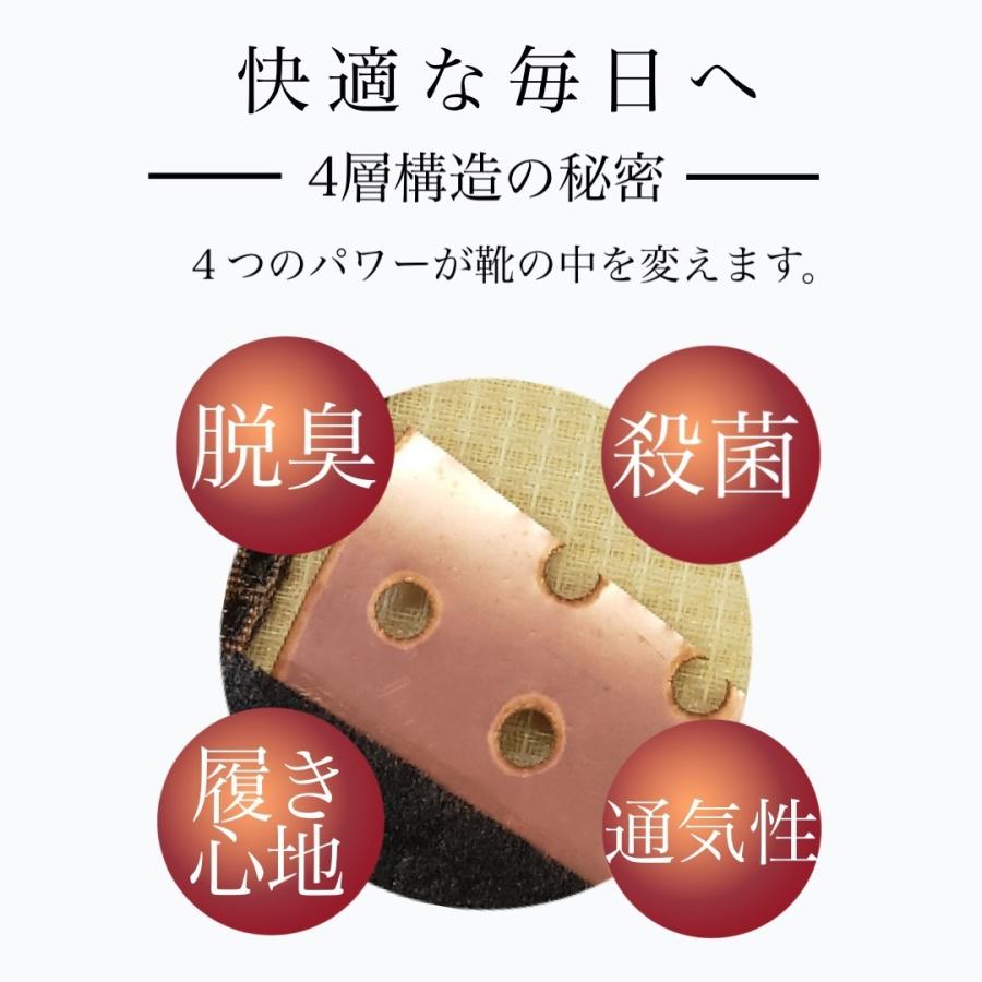 インソール 3足 セット 中敷き 足ムレ 蒸れ 対策 消臭 薄い 殺菌 足の臭い対策 足の匂いをとる方法 銅 イオン | イオン | 04