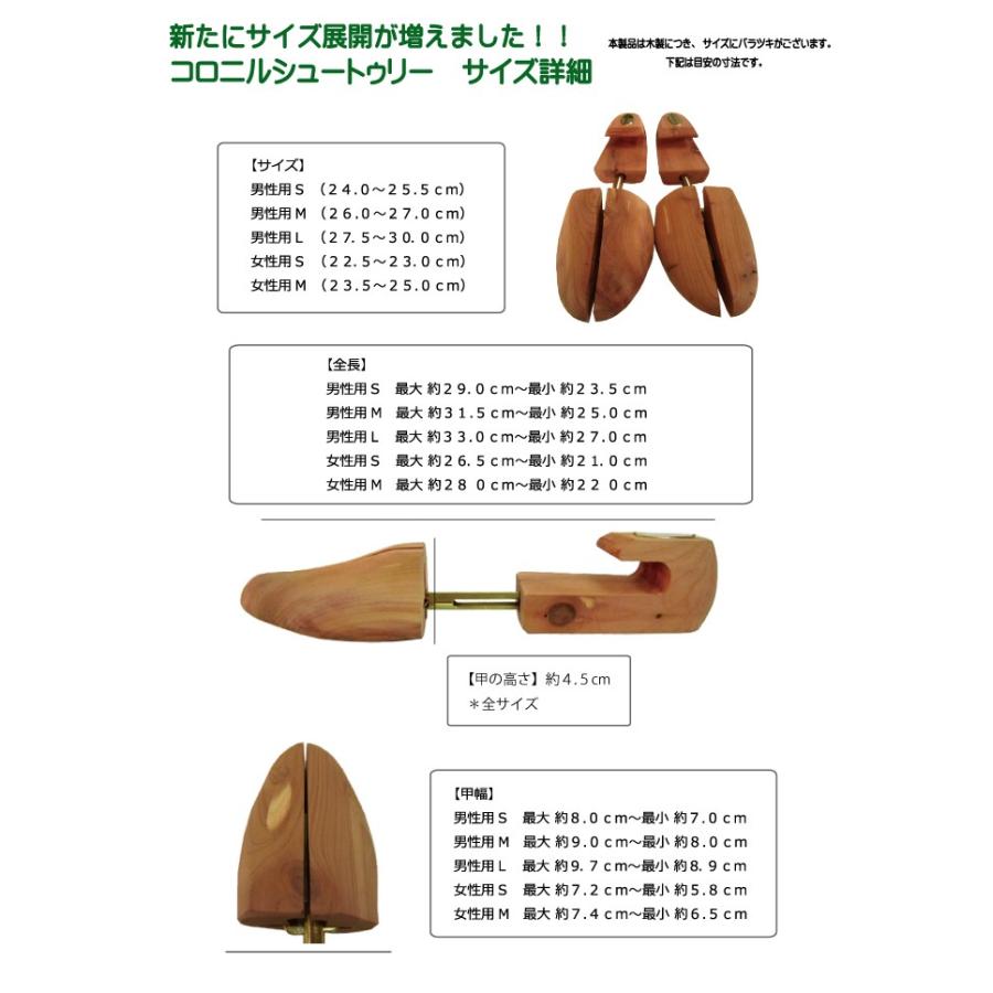 Collonil シューツリー シューキーパー サイズM 3足セット コロニル コロニル シューキーパー 通販 シューツリー シュートゥリー