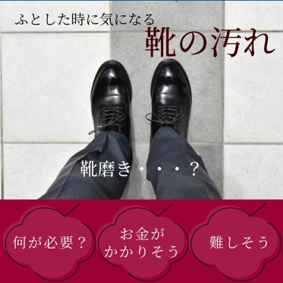 靴磨きセット Kiwi 中缶 ライカマスターチューブミニクリーナー 白 黒テレンプ各1枚 304ミニブラシ シューケアセット 30 Kiwileicaset 足と靴の救急箱 通販 Yahoo ショッピング