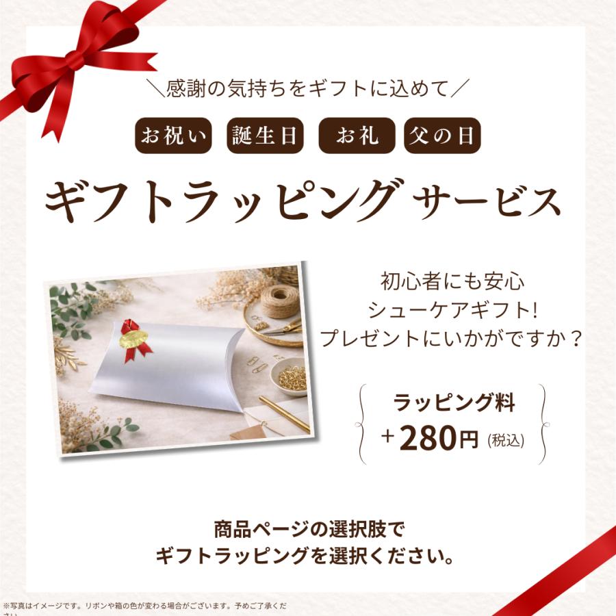 靴磨き セット シューケア 革靴 簡単 KIWI ギフト 就職祝い マスター