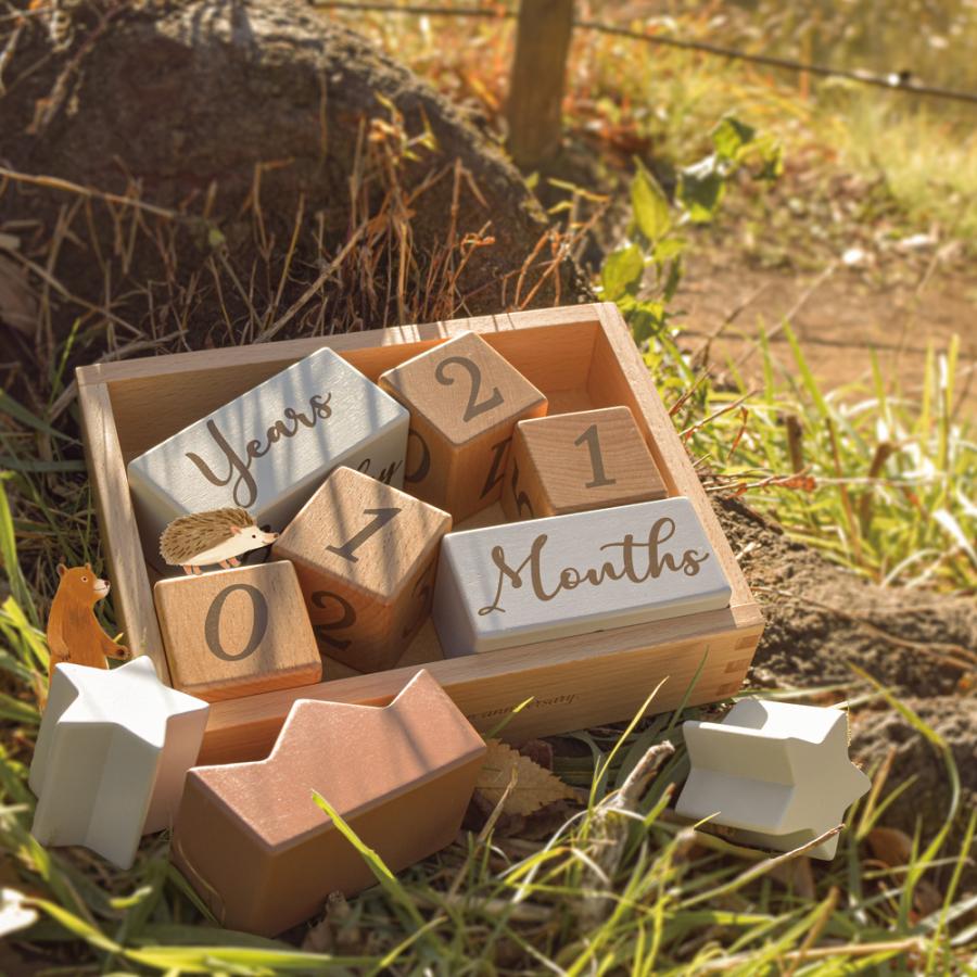 アマノッポ ベビー 積み木 木製 1歳 おもちゃ 月齢フォト グッズ 知育