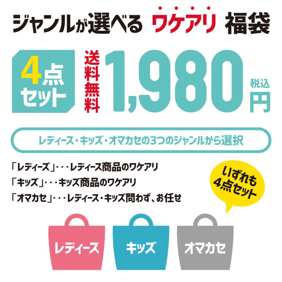 送料無料 訳あり プチ福袋 4点セット(バッグ1点 ＋ 小物3点