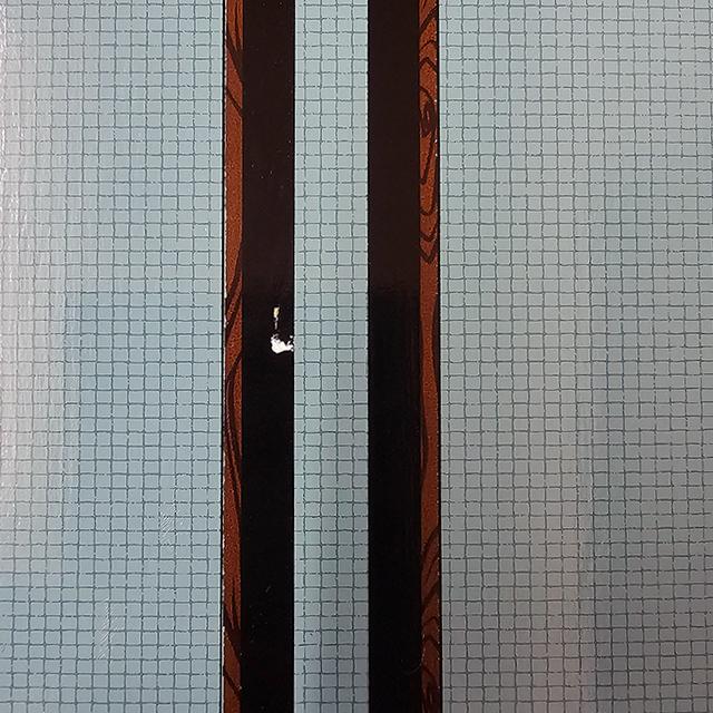 carver（カーバー） 訳あり スケートボード SKATEBOARD TYLER 777 C7