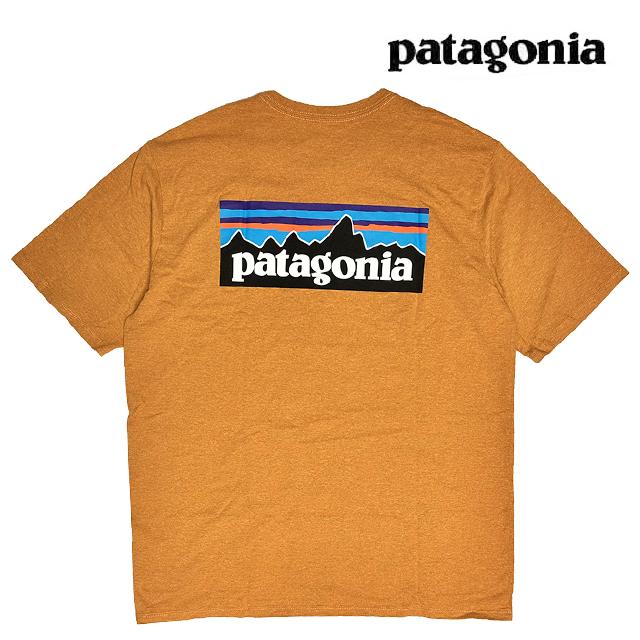 patagonia（パタゴニア） P-6 ロゴ レスポンシビリティー メンズ T