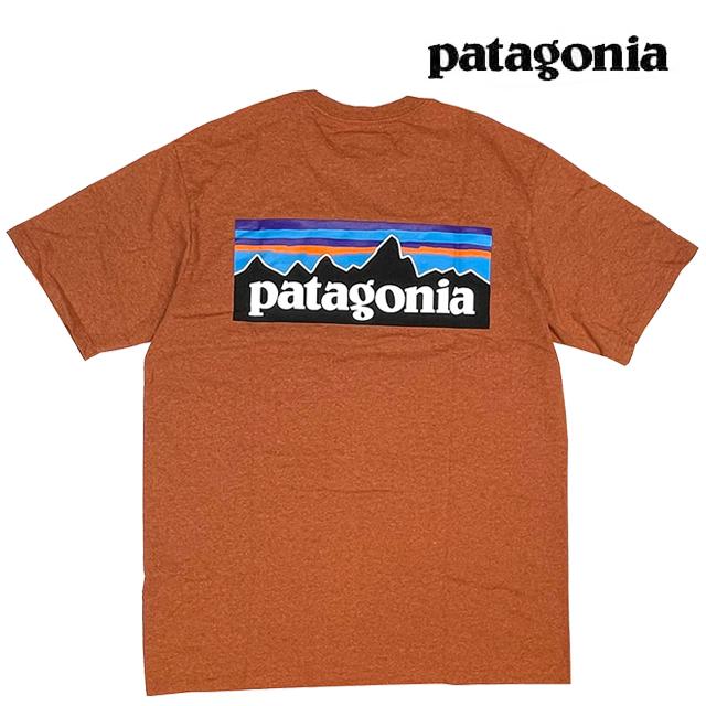 patagonia（パタゴニア） P-6 ロゴ レスポンシビリティー メンズ T