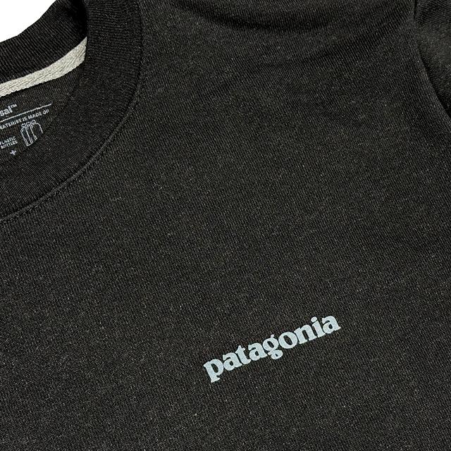 patagonia（パタゴニア） フィッツロイ アイコン アップライザル