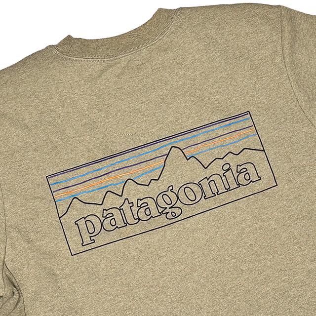 patagonia（パタゴニア） 日本未発売 P-6 ロゴ アップライザル クルー 