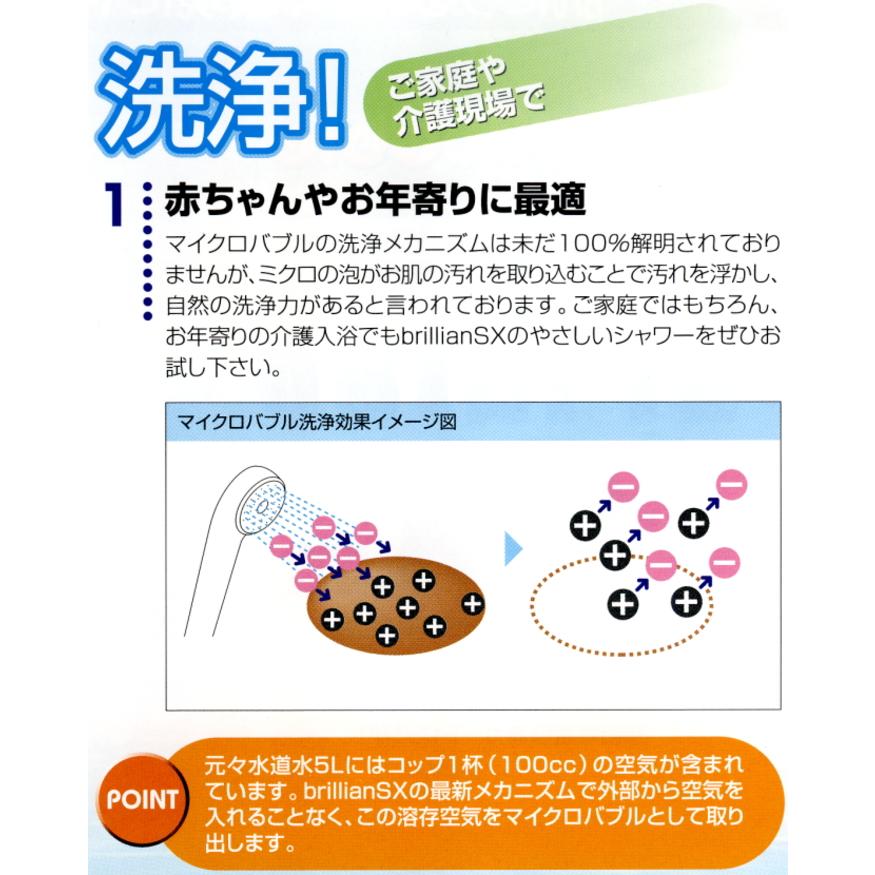 マイクロバブル ブリリアンSX浄水シャワー（brillian sx） : 浄水器 