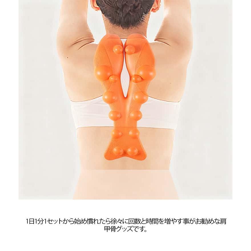 背中 バックストレッチャー ストレッチ 姿勢 猫背 背中伸ばし