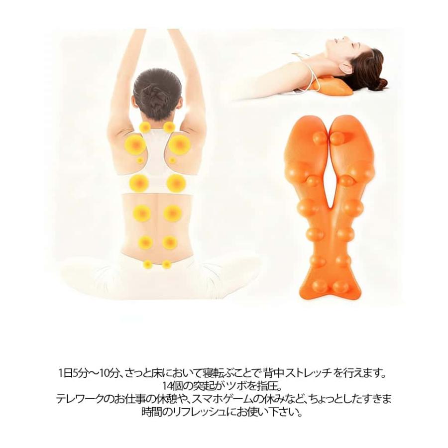背中 バックストレッチャー ストレッチ 姿勢 猫背 背中伸ばし