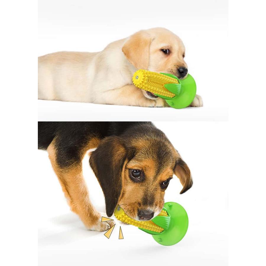 犬用噛むおもちゃ 壊れない トウモロコシ 丈夫 歯ブラシ 音の出る 鳴る ストレス解消 運動不足 知育玩具 餌入れ 吸盤付き 小型犬 中型犬 大型犬 |  | 12