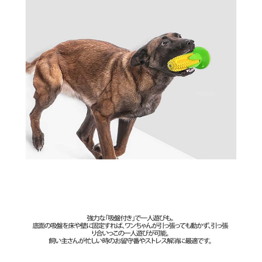 犬用噛むおもちゃ 壊れない トウモロコシ 丈夫 歯ブラシ 音の出る 鳴る ストレス解消 運動不足 知育玩具 餌入れ 吸盤付き 小型犬 中型犬 大型犬 |  | 09