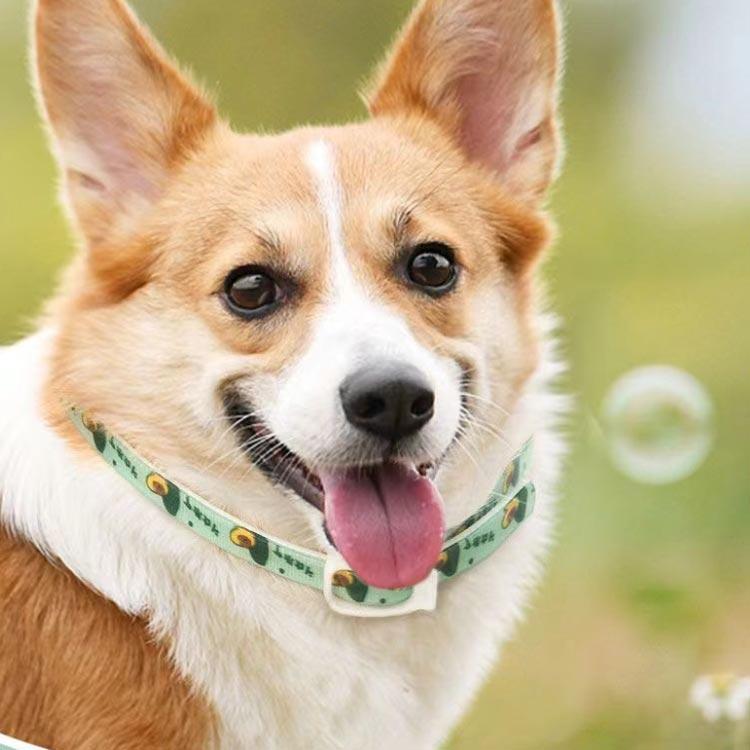 2個セット ペット防虫首輪 天然成分 植物 犬用 猫用 虫よけ首輪 蚊よけ ノミ取り ノミ除け 寄生虫よけ 防虫  安心 ペット首輪 可愛い 猫用首輪 |  | 03