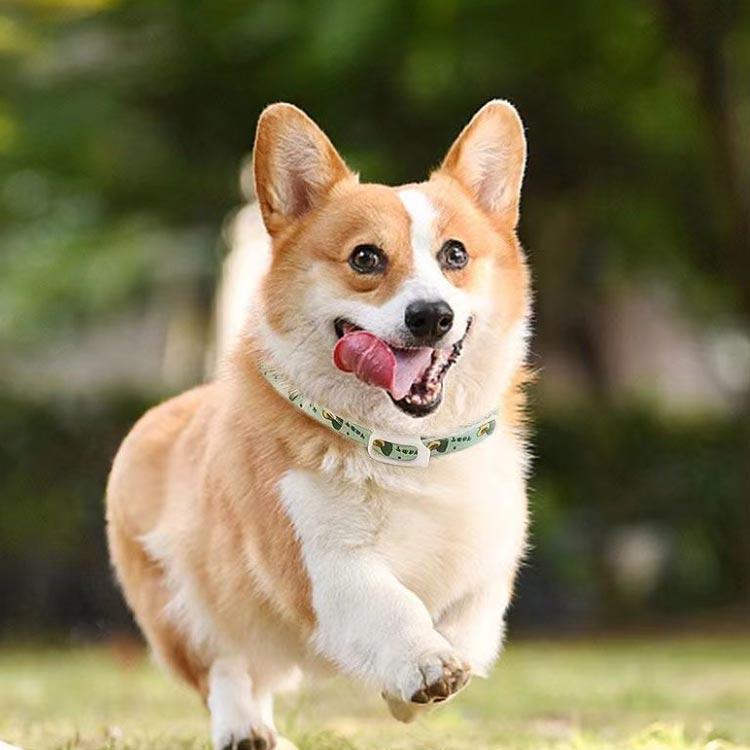 2個セット ペット防虫首輪 天然成分 植物 犬用 猫用 虫よけ首輪 蚊よけ ノミ取り ノミ除け 寄生虫よけ 防虫  安心 ペット首輪 可愛い 猫用首輪 |  | 04