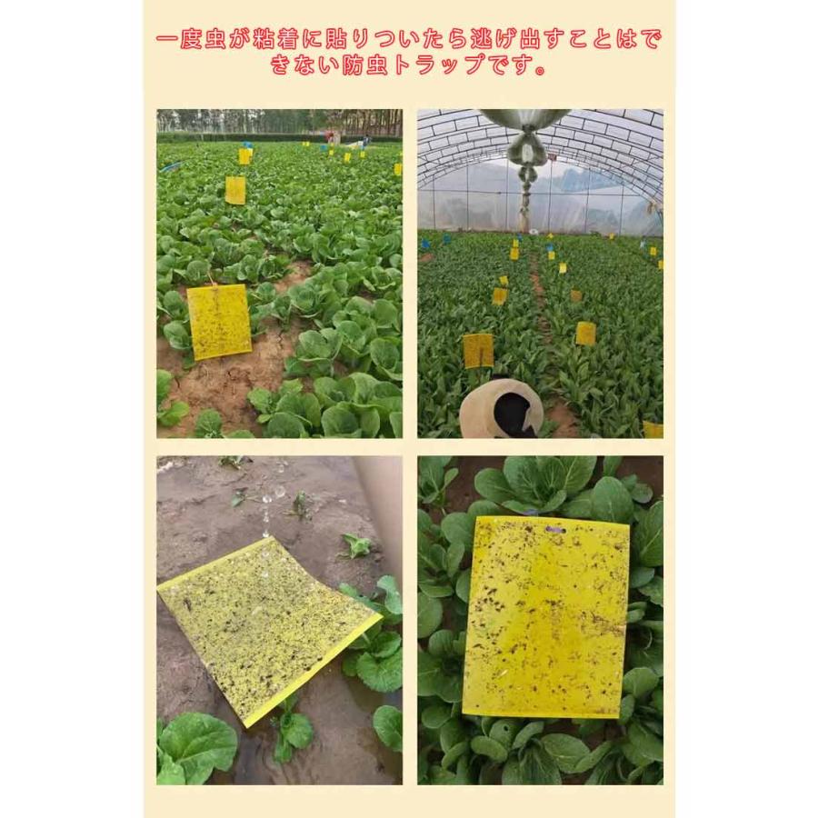 【11〜50枚入り】 虫よけ 粘着シート 虫取り 虫除け グッズ ハエ取り紙 コバエ取り 粘着トラップ 粘着マット 虫取りシート 害虫捕獲 捕虫シート |  | 10