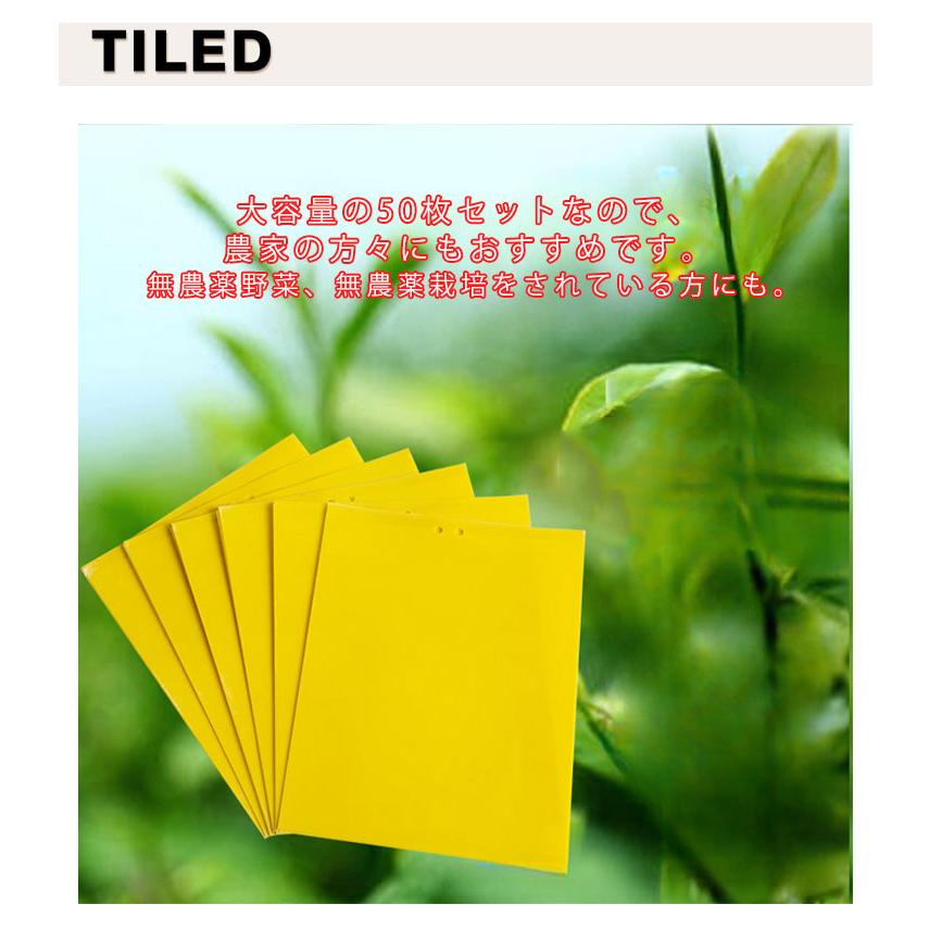 【11〜50枚入り】 虫よけ 粘着シート 虫取り 虫除け グッズ ハエ取り紙 コバエ取り 粘着トラップ 粘着マット 虫取りシート 害虫捕獲 捕虫シート |  | 07