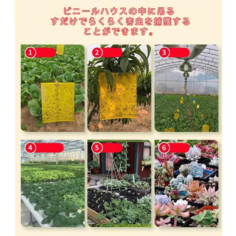 【11〜50枚入り】 虫よけ 粘着シート 虫取り 虫除け グッズ ハエ取り紙 コバエ取り 粘着トラップ 粘着マット 虫取りシート 害虫捕獲 捕虫シート |  | 08