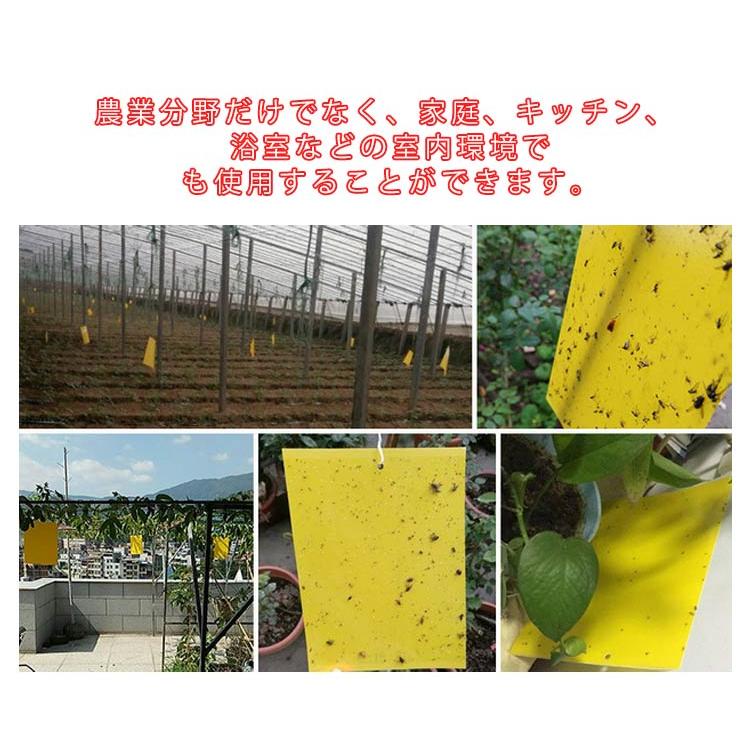 【11〜50枚入り】 虫よけ 粘着シート 虫取り 虫除け グッズ ハエ取り紙 コバエ取り 粘着トラップ 粘着マット 虫取りシート 害虫捕獲 捕虫シート |  | 09