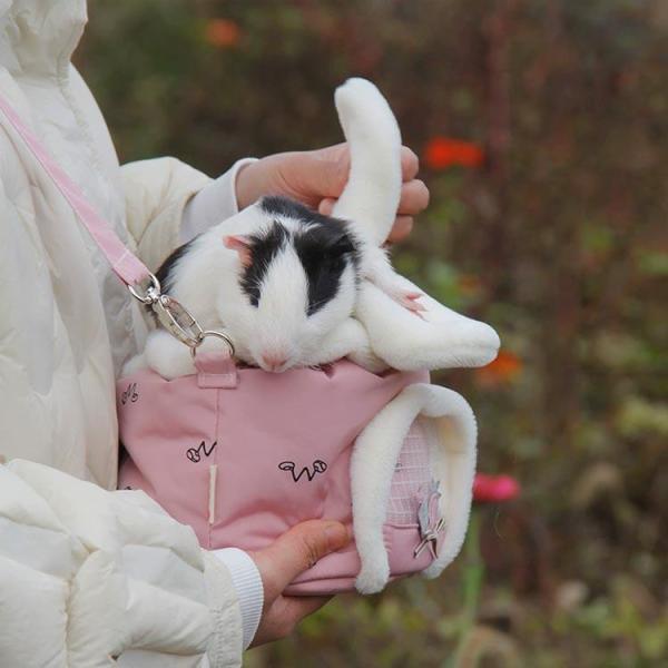 小動物 キャリーバッグ ペットキャリー ハムスター リス うさぎ ハリネズミ キャリーポーチ 布製 ショルダーバッグ 折り畳み コンパクト収納 メッシ | ブランド登録なし | 01
