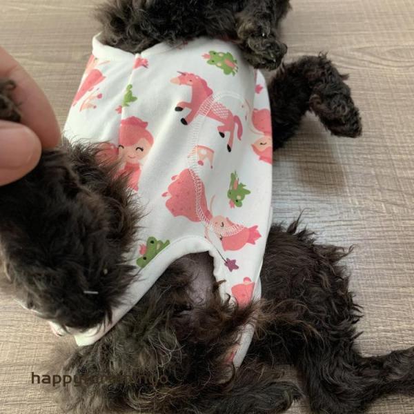 犬 術後服 エリザベスウェア エリザベスカラー 服 オス メス 去勢 小型犬 | ブランド登録なし | 10