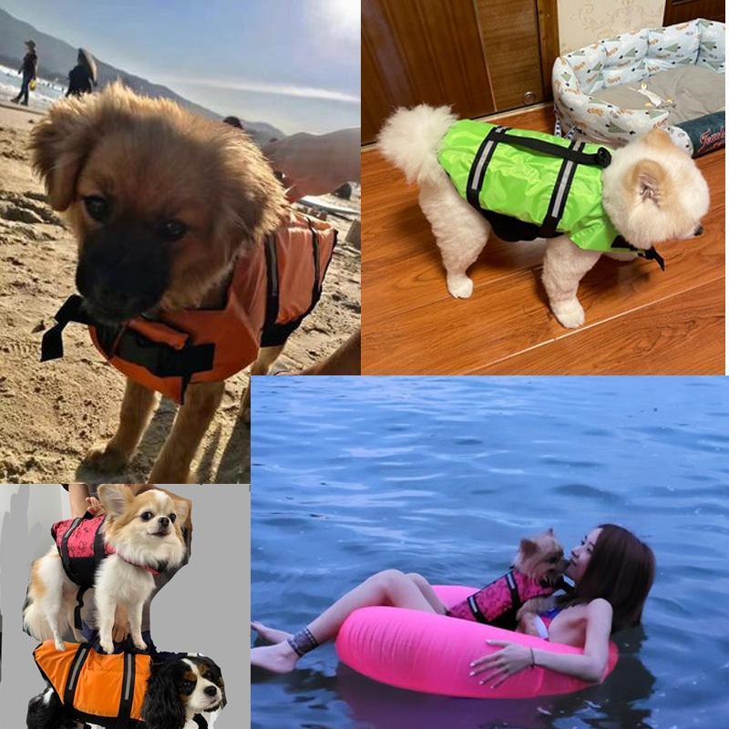 わんちゃん用 ライフジャケット / 小型 中型 犬 水遊び 海 川 救命胴衣 ペット 犬用 小型犬 フローティング ライフ | ブランド登録なし | 10