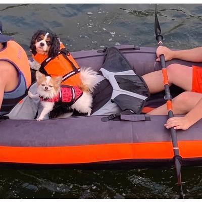 わんちゃん用 ライフジャケット / 小型 中型 犬 水遊び 海 川 救命胴衣 ペット 犬用 小型犬 フローティング ライフ | ブランド登録なし | 12