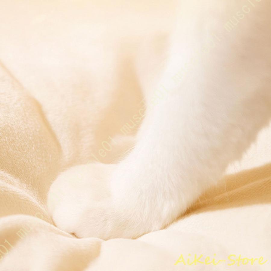 犬ハウス 猫 ハウス ドーム 冬 ペットベッド ペットハウス 犬小屋 可愛い 柔らかい クッション付き ペット用品 小/中/大型犬用 快適 テント | ブランド登録なし | 12