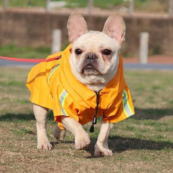 レインコート 犬 フード付き レインウェア 着せやすい 中型犬 小型犬 柴犬 防水 撥水 ペット用 犬用 散歩 カッパ 雨具 雪 雨の日 | ブランド登録なし | 12
